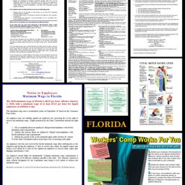 Florida State Labor Law Poster